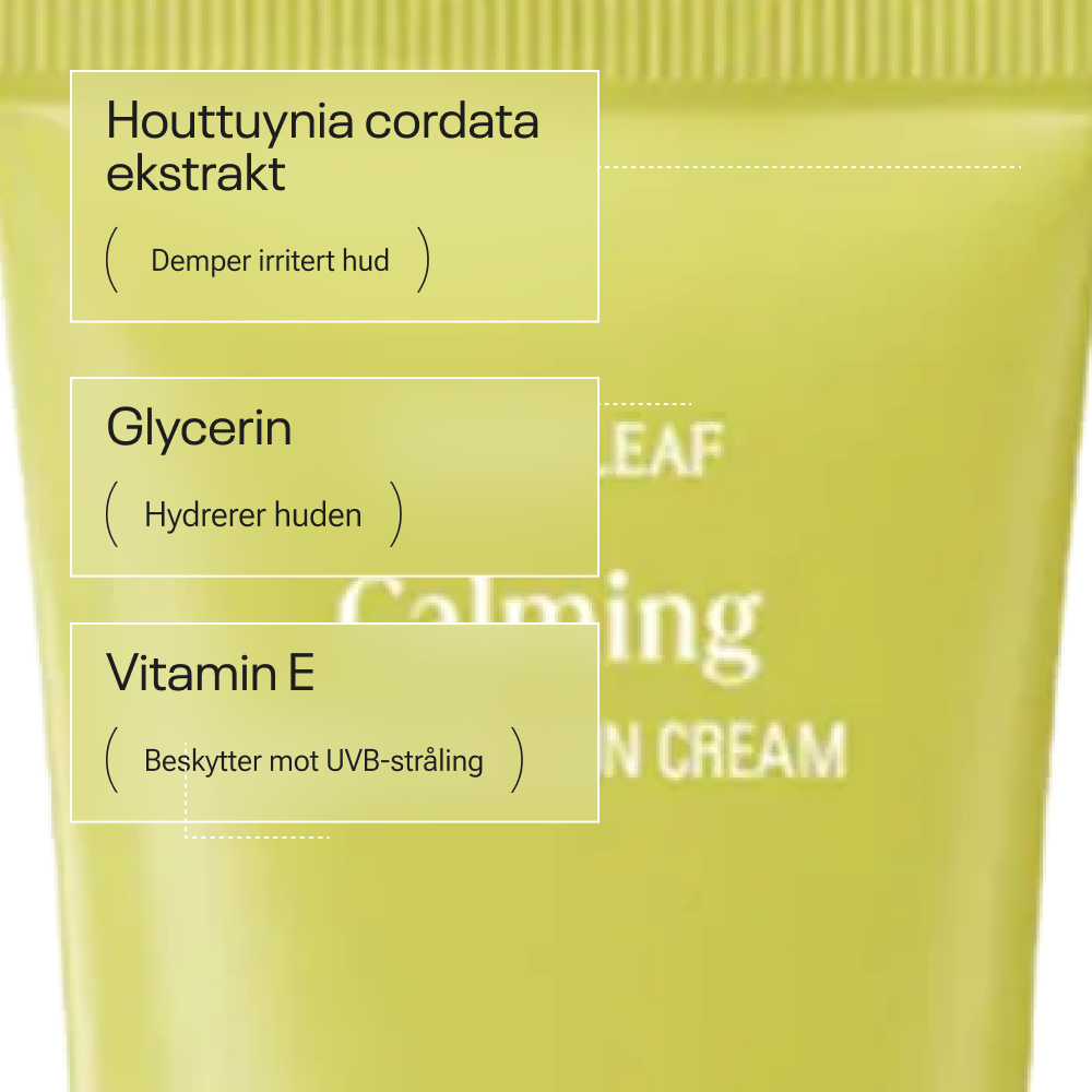 Goodal Houttuynia Cordata Calming Moisture Sun Cream SPF50+