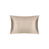 Beauty Mall Mulberry Silk Pillowcase